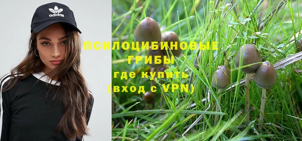 гашик Баксан