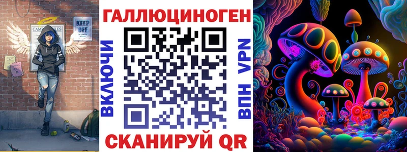 Псилоцибиновые грибы Psilocybine cubensis  Высоковск 